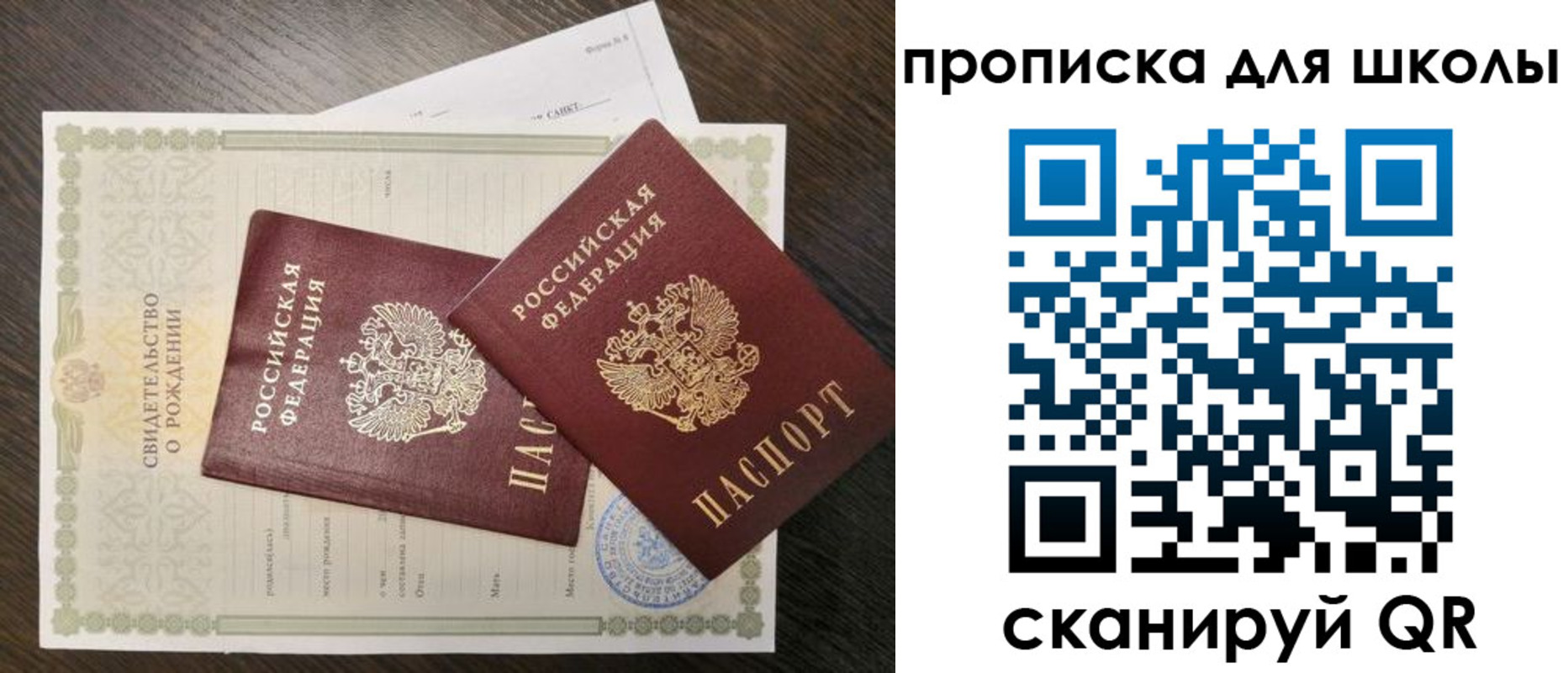 прописка гарантия в Фокино